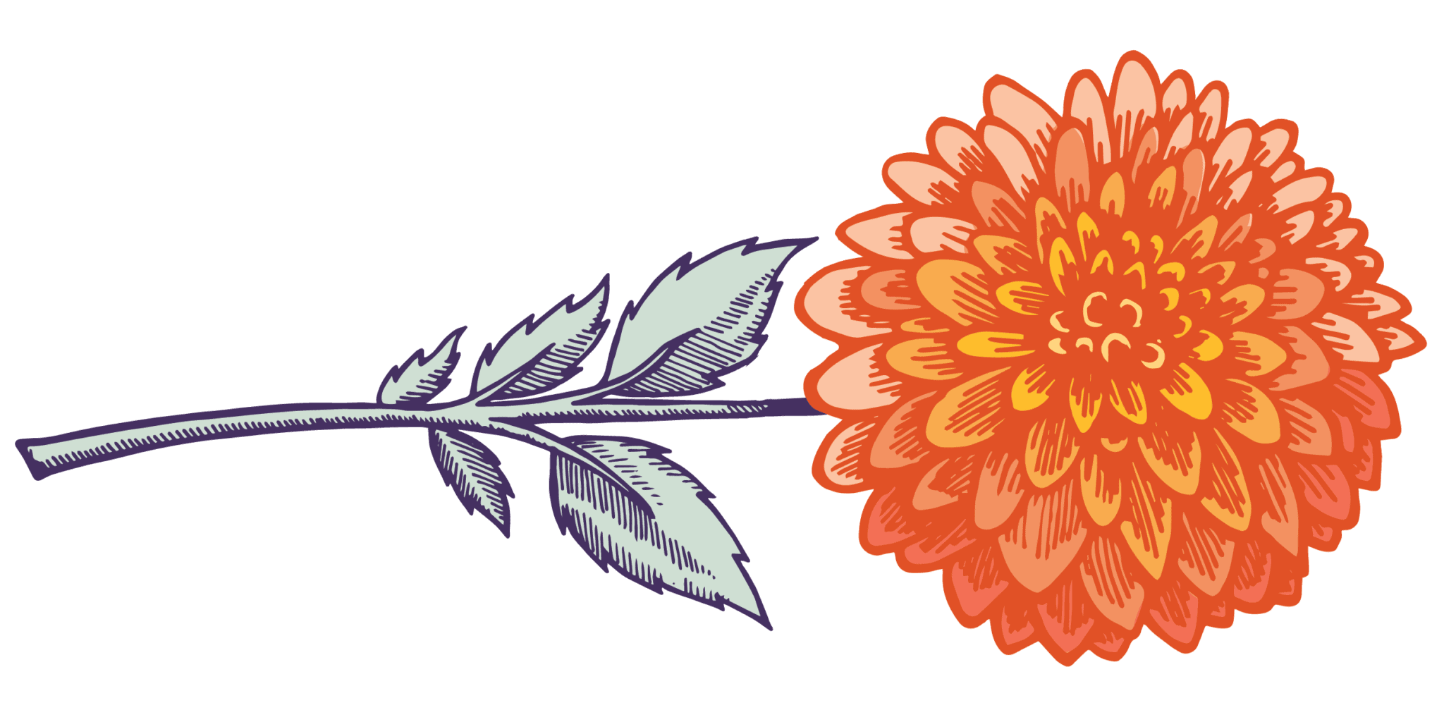 Petal Thyme Rembrandt Yard Events